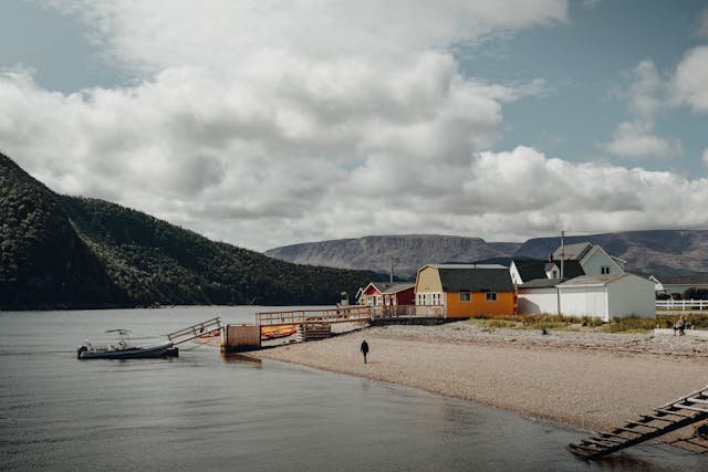newfoundland