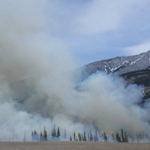 新斯科舍突发野火！安纳波利斯县失控山火，家庭紧急撤离，哈法空气质量受影响 ...