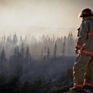 纽芬兰山火肆虐：近百栋房屋被烧毁，成千上万人被迫撤离！保险能否弥补损失？ ...