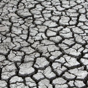 纽芬兰Bonavista水库濒临见底！全面“禁水令”生效，几十年未见的危机正敲响警钟 ...