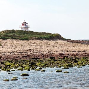 【警报升级】爱德华王子岛火禁令再延长！雨水无力扑灭火险，Summerside公园紧急关闭 ...