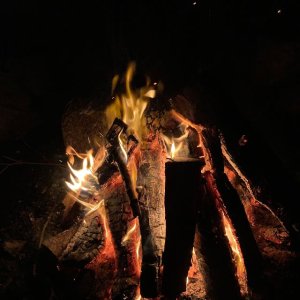 【紧急】新斯科舍野火失控！房屋被毁、上千人紧急撤离，省长宣布援助金发放 ...