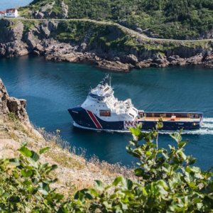 纽芬兰重磅！2百万试点计划：看护士执业者免费看病，不花一分钱！ ...