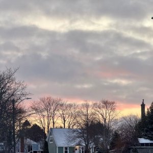 纽芬兰买房指南：为什么加东华人网的华人地产经纪最值得选择？ ...