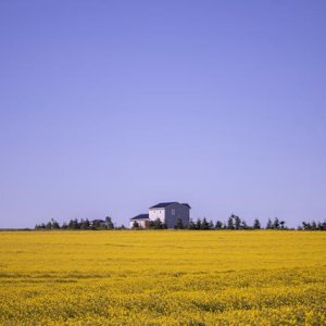 爱德华王子岛华人租房全攻略：留学生与新移民的首选平台